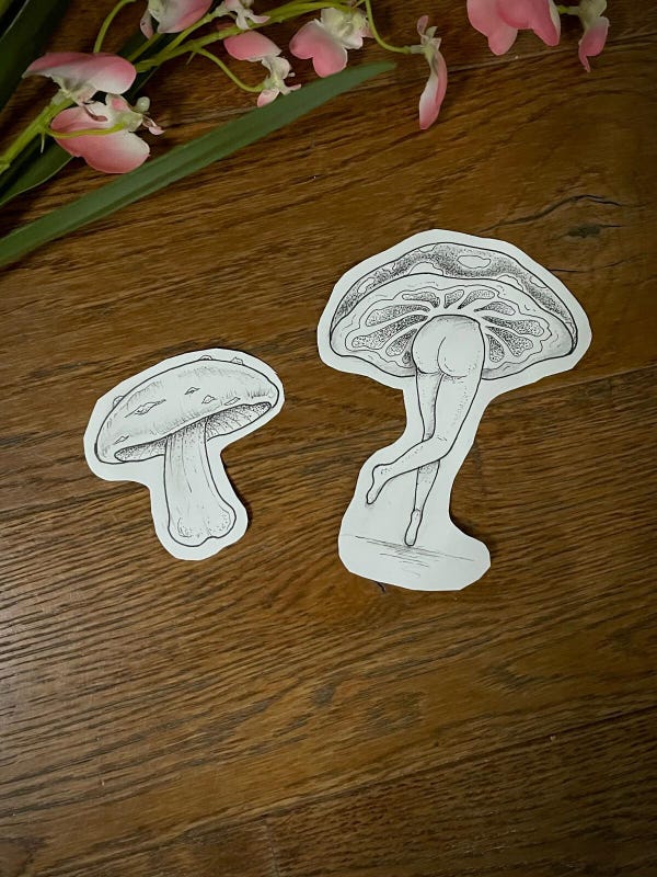 flash champignons jpg